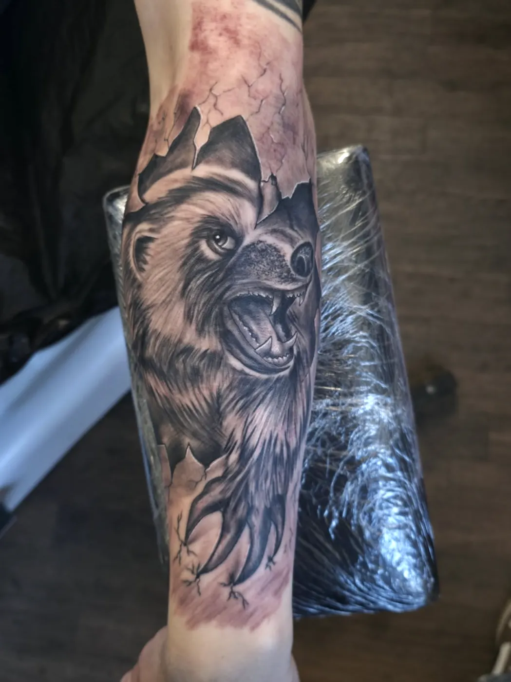 Brüllender Bär, der durch aufgerissene Haut bricht, als Black-&-Grey-Tattoo auf dem Unterarm.